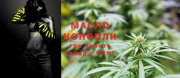 гашик Богданович