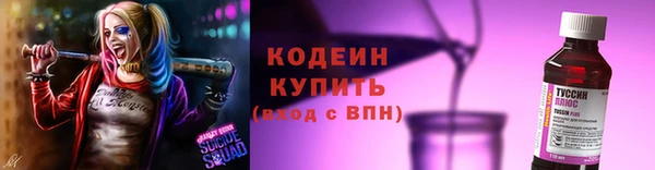гашик Богданович