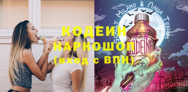 гашик Богданович