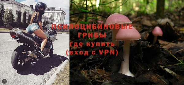 гашик Богданович