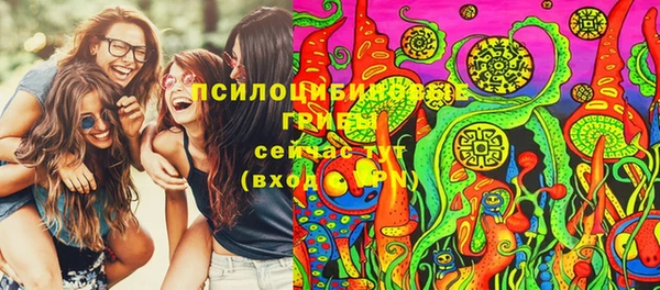 тгк Богородск