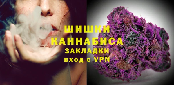 гашик Богданович