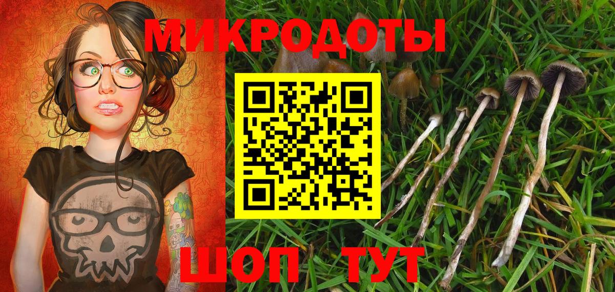 Видное  Псилоцибиновые грибы Magic Shrooms  Вход с VPN 