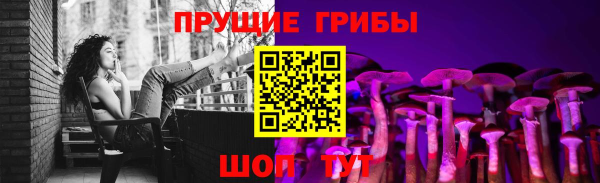 Псилоцибиновые грибы ЛСД Видное