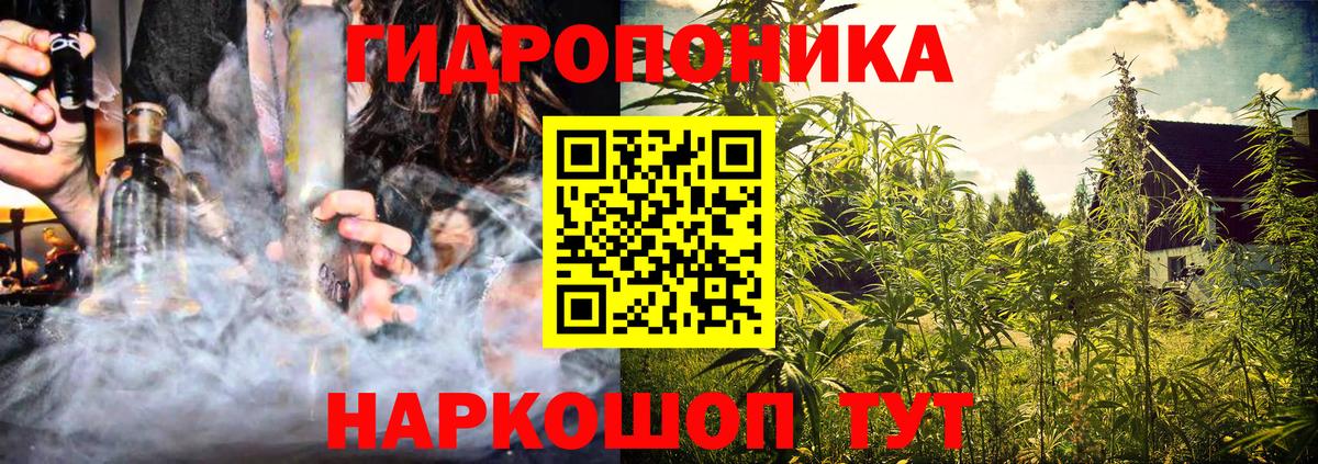 Каннабис Bruce Banner  Вход с VPN  МАРИХУАНА марихуана  Видное  Шишки марихуана SATIVA & INDICA  Марихуана LSD WEED 